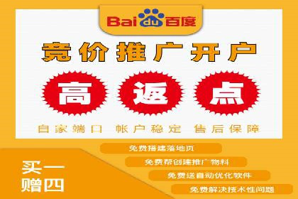 SEM托管服务，成功案例展示转化优势